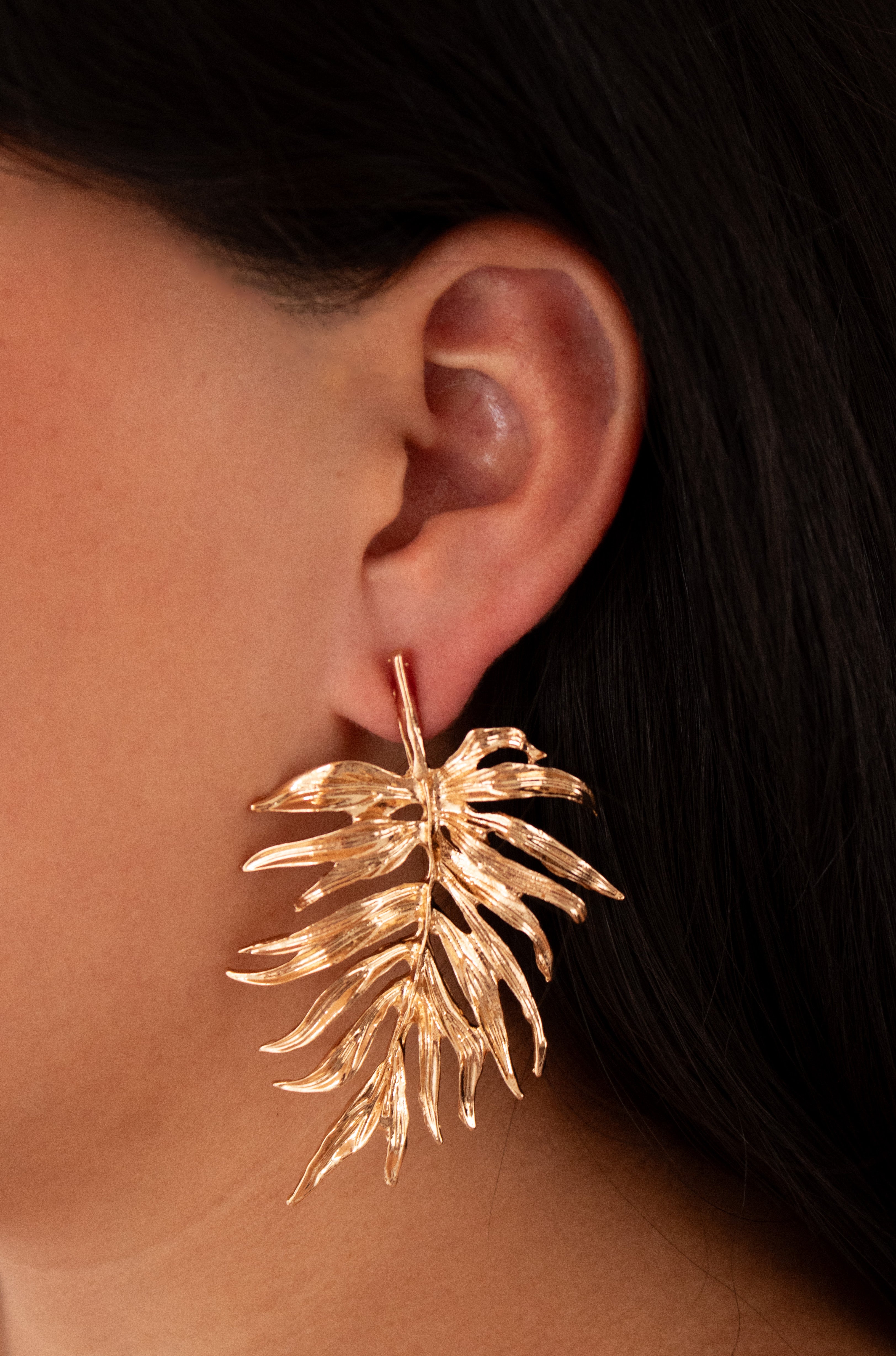 Aretes Folia